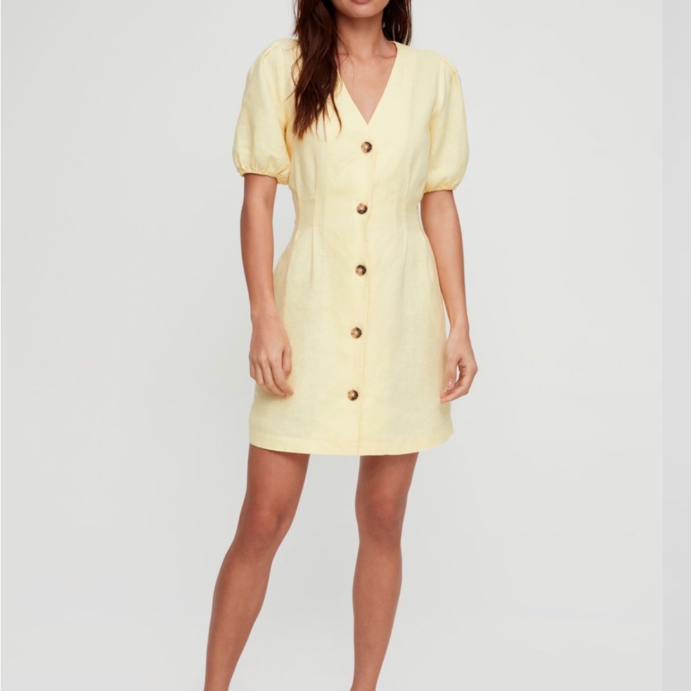 Aritzia Caprice Dress